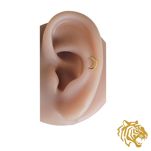Moon Post Earring in 14K Solid Gold with Silicone Stopper