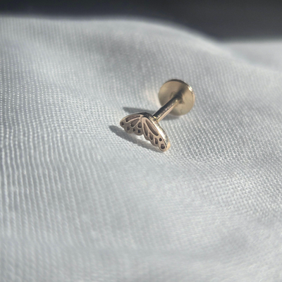 Butterfly Push Fit Labret in 14K Solid Gold