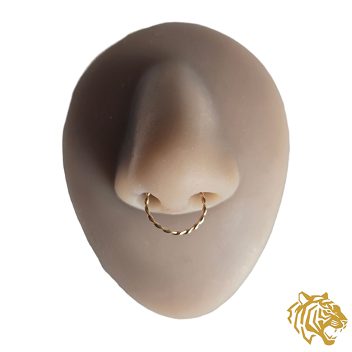 Twisted Seamless Ring in 14K Solid Gold