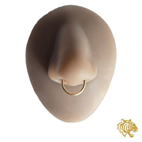 Seamless Ring in 14K Solid Gold