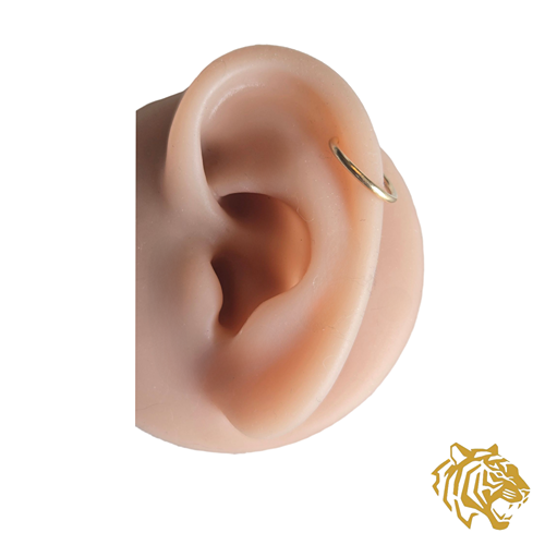 Seamless Ring in 14K Solid Gold