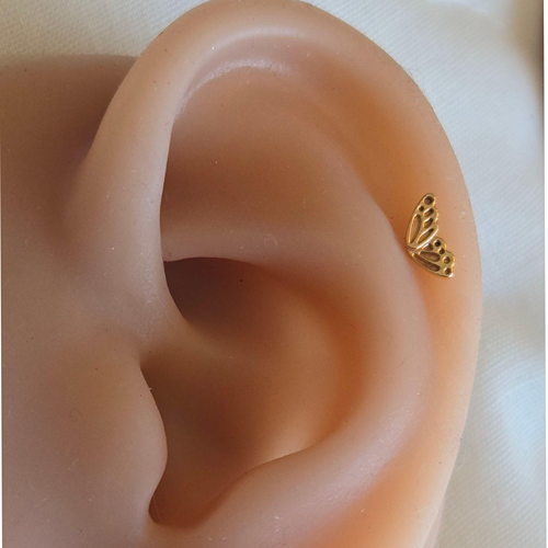 Butterfly Push Fit Labret in 14K Solid Gold