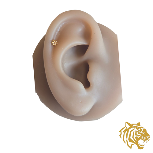 Granulated Flower Post Earring in 14K Solid Gold with Silicone Stopper