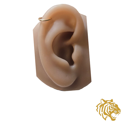 Single Band Ear Cuff with Bone Tips in 14K Solid Gold - No Piercing Required