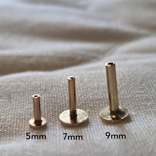 Butterfly Push Fit Labret in 14K Solid Gold